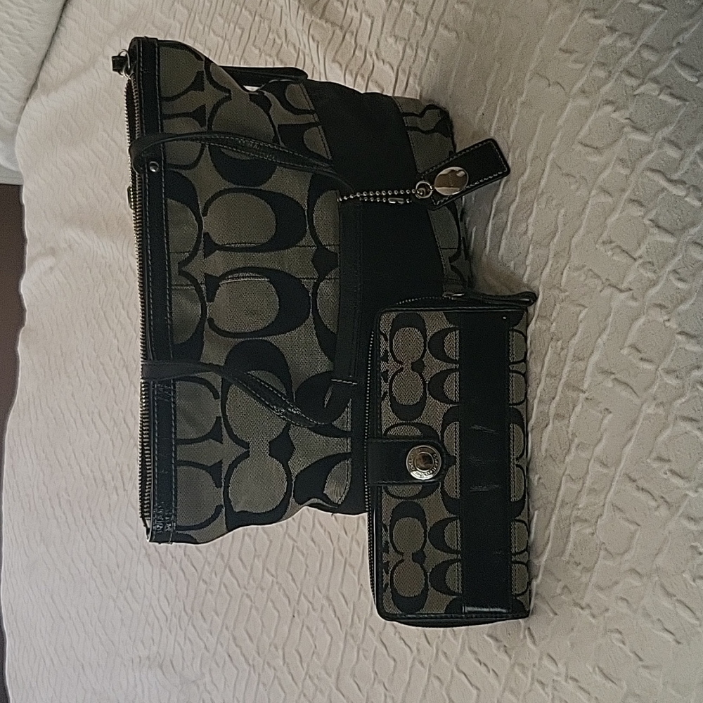 Purse and wallet